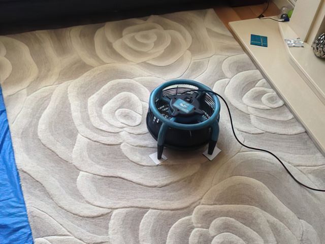 Rug Cleaners in Hull