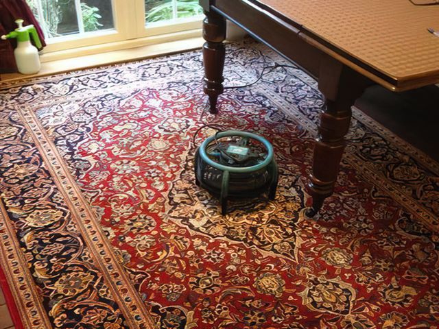 rug-cleaning-4